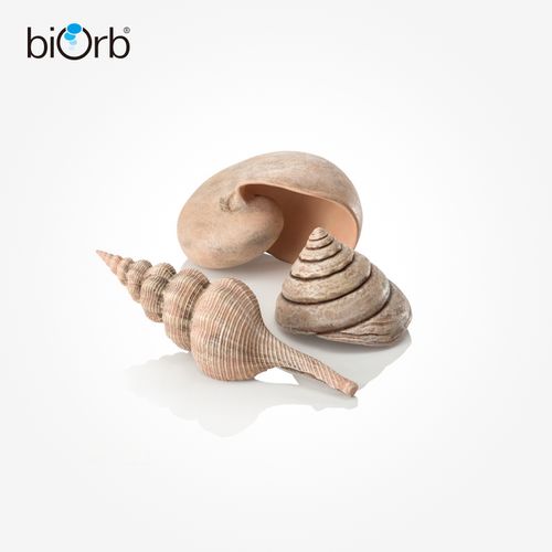 biorb鱼缸水族箱造景海贝壳装饰品  鱼缸装饰珊瑚石海螺