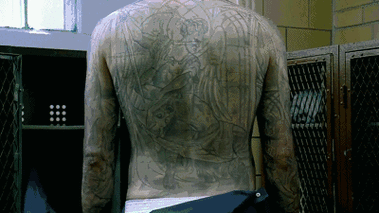 《越狱》变"越坟",值9.7分?