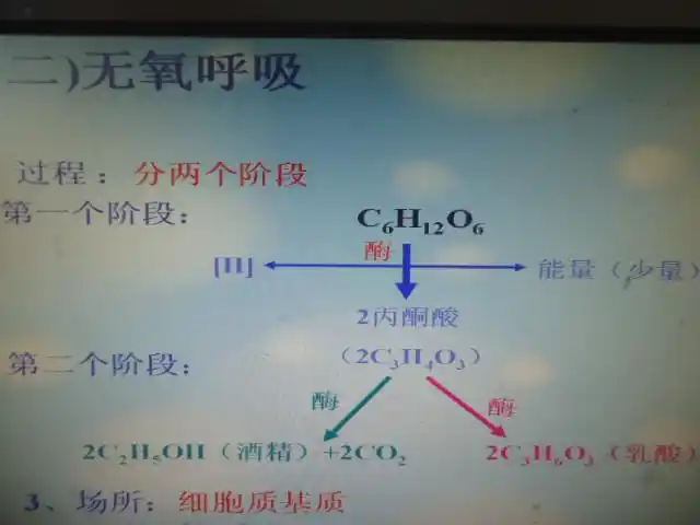 2,无氧呼吸(两个阶段 ,均在细胞质基质进行)