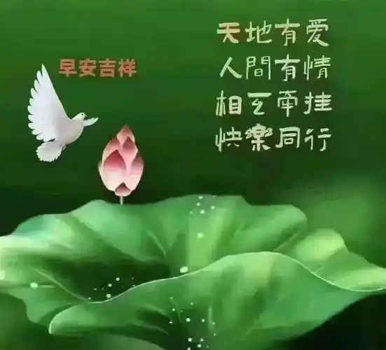 早安早上好图片带字带祝福语2022唯美夏天早安问候祝福语图片文字精选