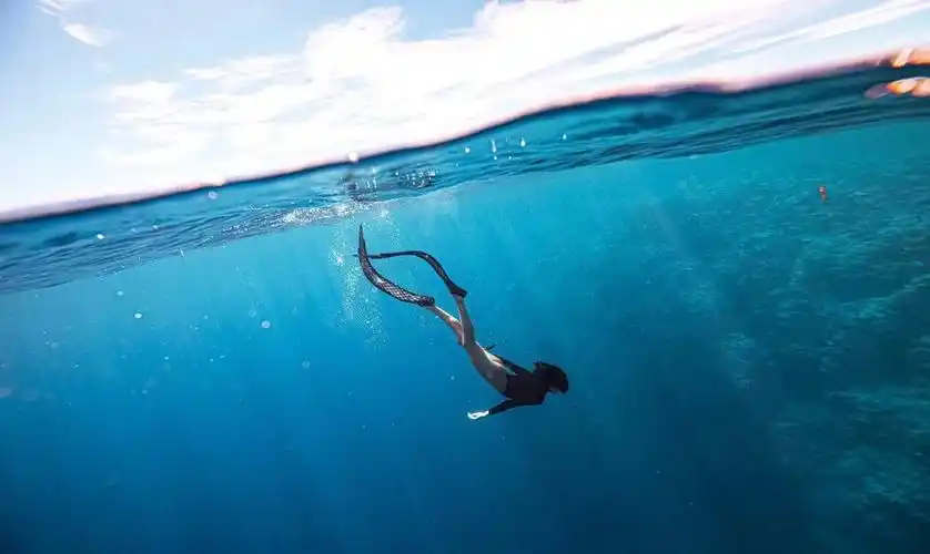 cua是什么意思(cuacua是什么意思)