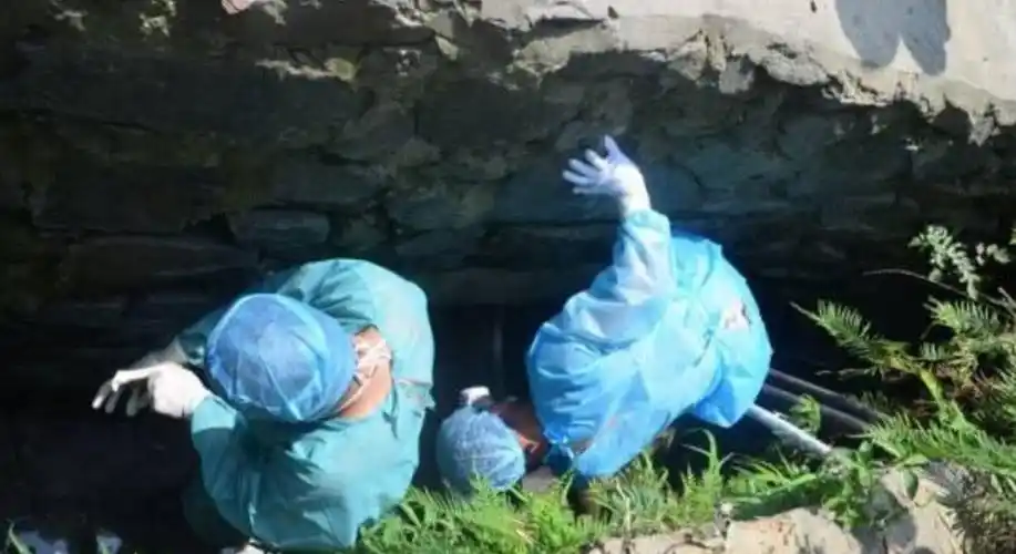 医生是为了活着的病人医治,而法医是为死去的人说话,大家觉得法医这个