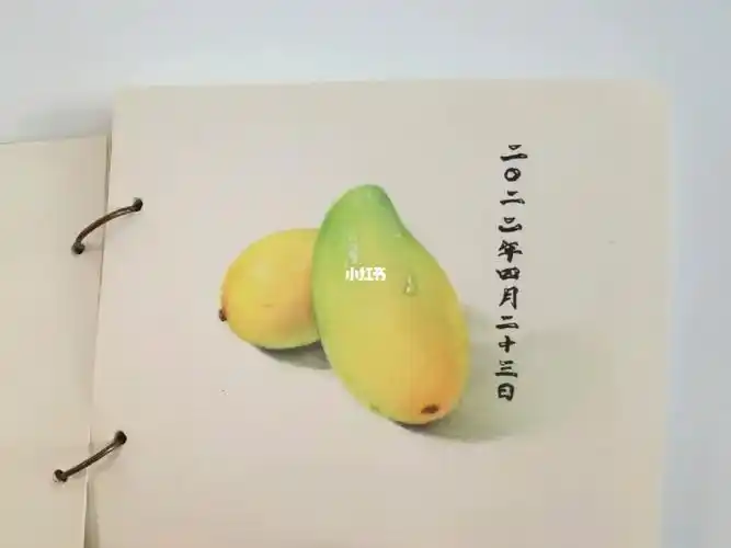 彩铅画芒果