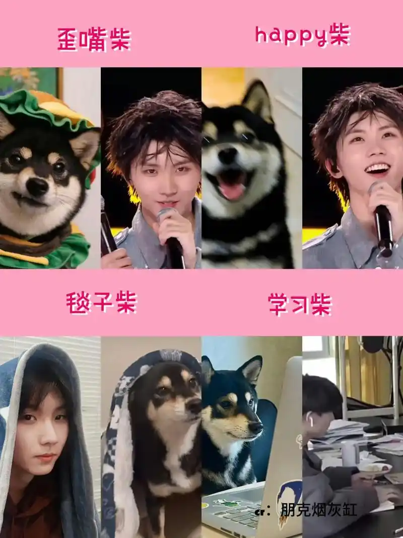 马嘉祺 嘉祺亲生的没错了 儿子随爹 都是爸爸教的图在v - 抖音