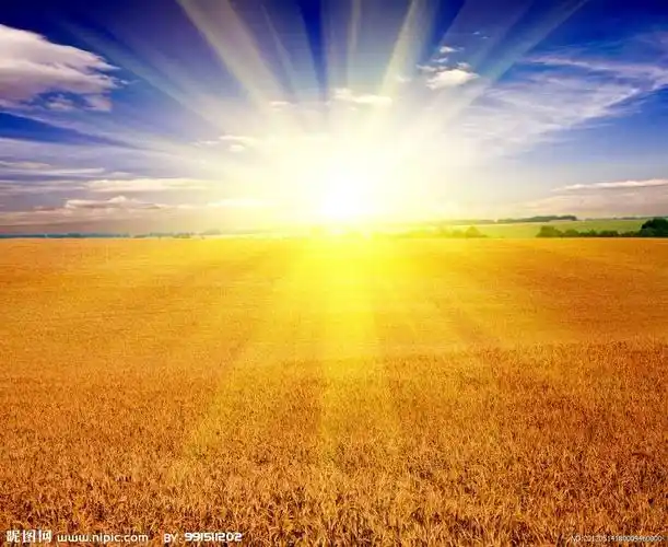 【北马路小学一四班王韵然】阳光下成长