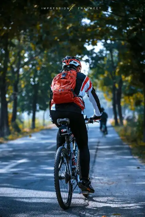 《骑单车的背影》