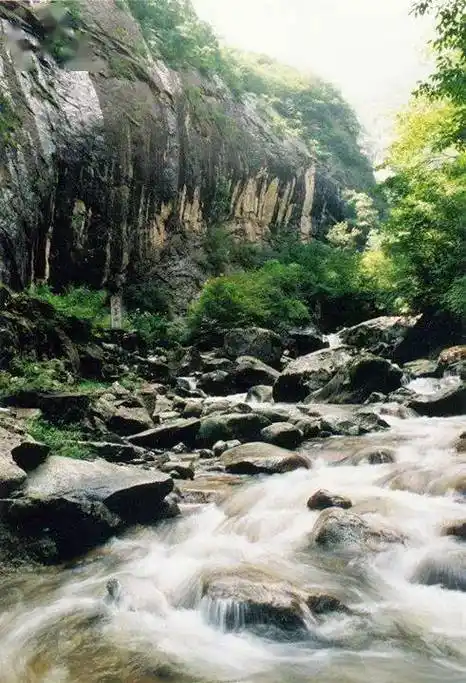 "秦岭主峰地 仙境太白山" 跟着杨澜一起走进太白山_李白_景区_海拔