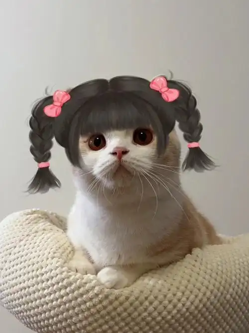 左滑让她给你表演180度的歪头杀