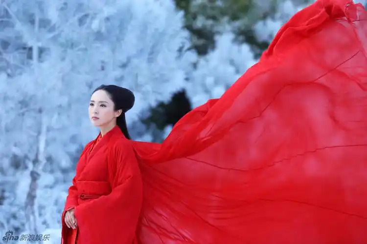 神雕侠侣董璇 饰 林朝英