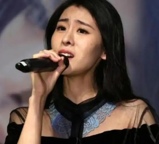 2013年,张碧晨收到韩国公司的邀请,希望签她当练习生,日后捧红出道.