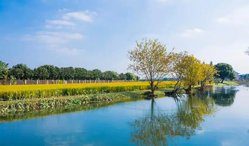 青浦区重固镇回龙村_2021年示范村_上海市农业农村委员会