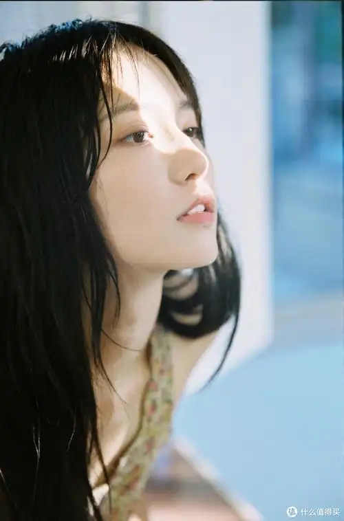 诸葛大力-演员成果的写真