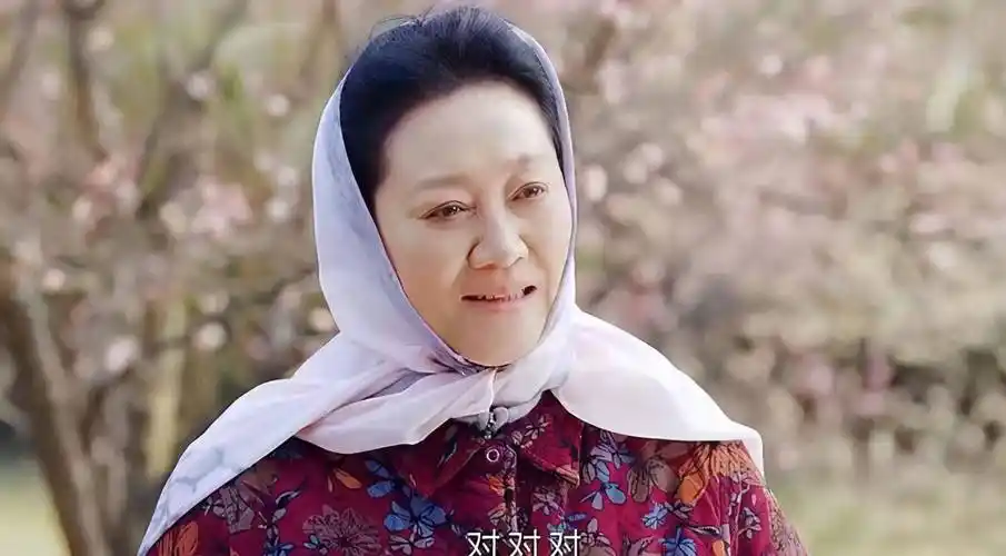 不知你对王丽云这个老演员有什么