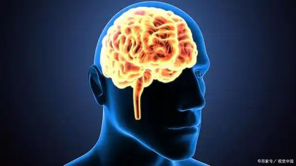 当人们获得某种快感或奖励时,大脑中的多巴胺系统就会被激活,释放