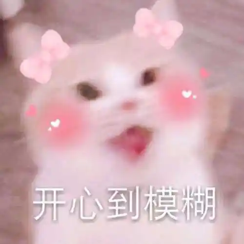 开心到模糊表情包 - 表情图