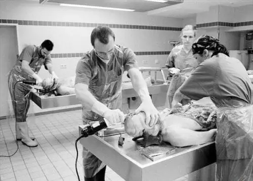 人们可以直观了解法医这一特殊职业:他们割裂尸体其实是对死者最大的