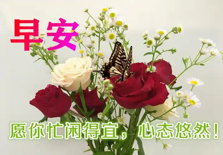 8月27日最漂亮早上好动态表情图片大全,早晨好动图美图大全