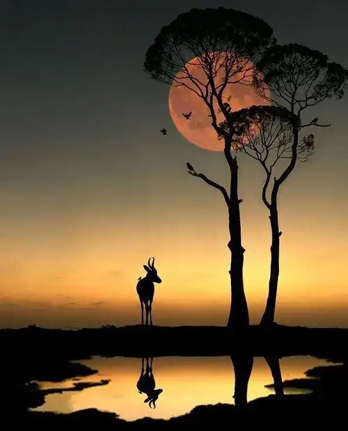 最精辟的情感文案句句有深度有内涵