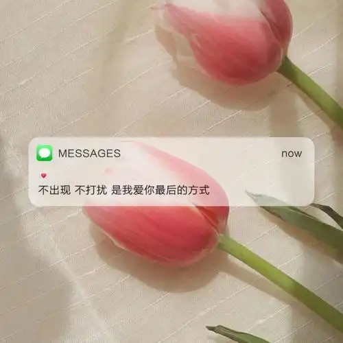 messages文案 | 朋友圈背景图