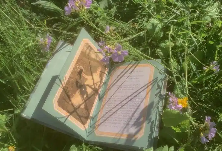 壁纸.背景图.源自于ins