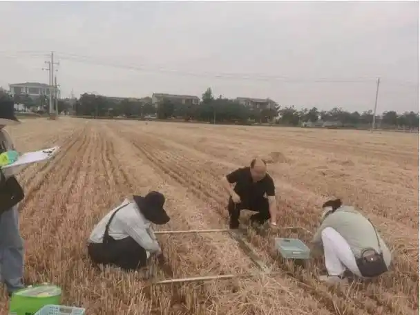 河南鹿邑县总工会:引领基层工会助力"三夏"生产