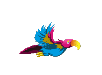 【原创素材】鸟类透明gif素材(3)