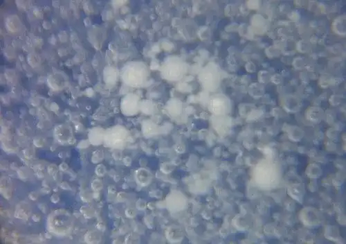 从瓷器气泡鉴定瓷器新老