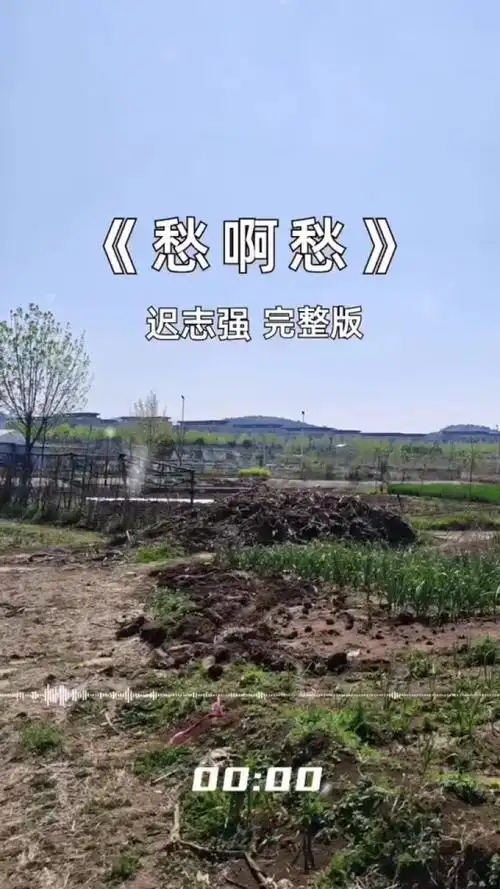 愁啊愁 #经典老歌 #音乐分享 #好歌分享