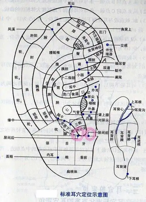 耳诊图片2 - 美篇