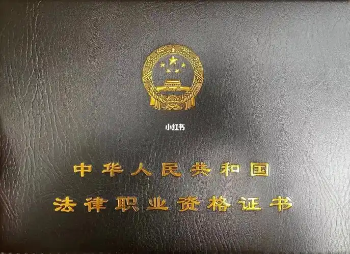 国家认证合法a级杠精上线