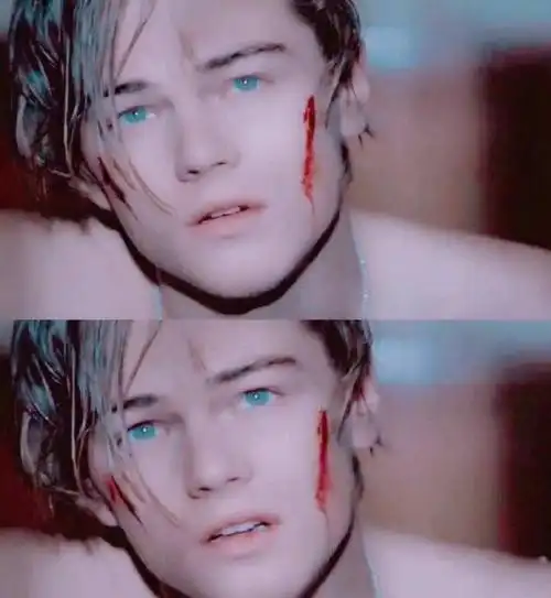 小李子颜值巅峰有多帅泰坦尼克号试镜时吸引整栋楼的女性