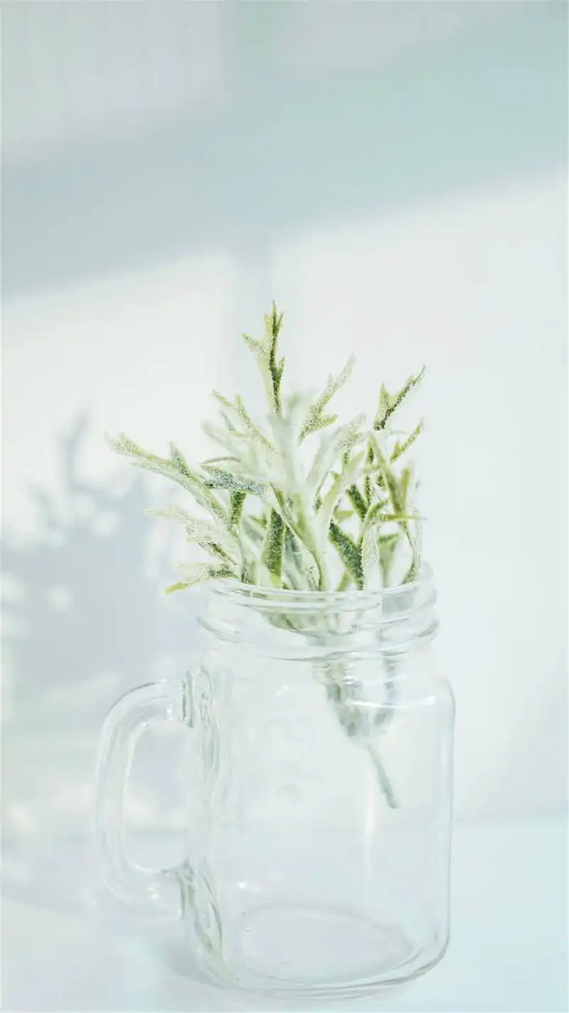 小清新护眼静物高清手机壁纸