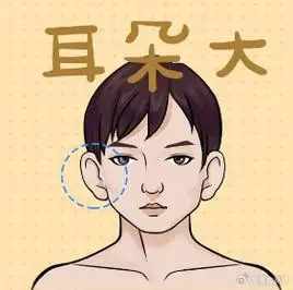 "疼老婆又顾家"的面像特征    耳朵大    拥有这种面相特征的男人