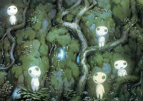 云南人吃菌让政府操碎了心