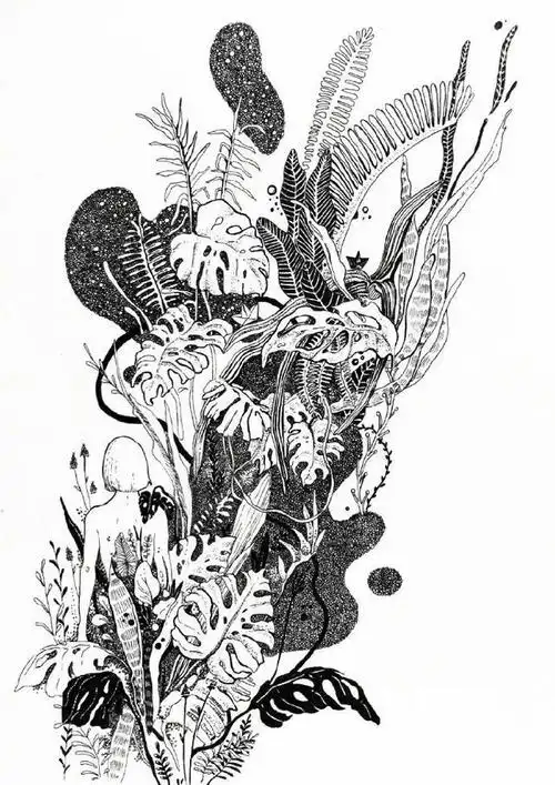 黑白插画手绘·来自插画家renata krawczyk