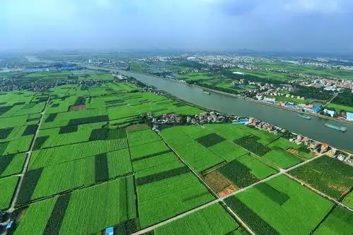 城乡融合打造美丽乡村,文化赋能激活魅力水乡 南沙打造与大湾区相匹配