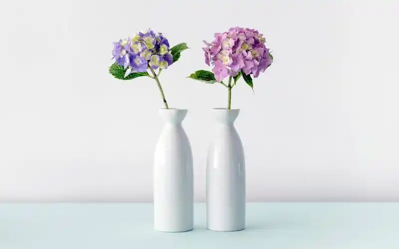 小清新花瓶静物图片桌面壁纸