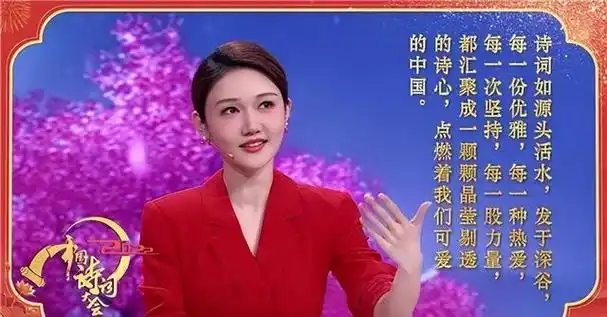 主持人龙洋:从《中国诗词大会》走上春晚的央视才女