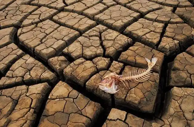 地球上的生命将大批量死亡