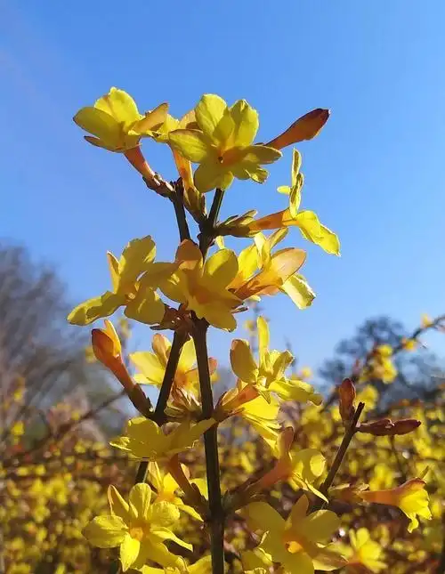 2020年美景 - 美篇