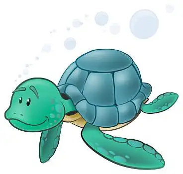 可爱,海龟,插画,卡通,游动
