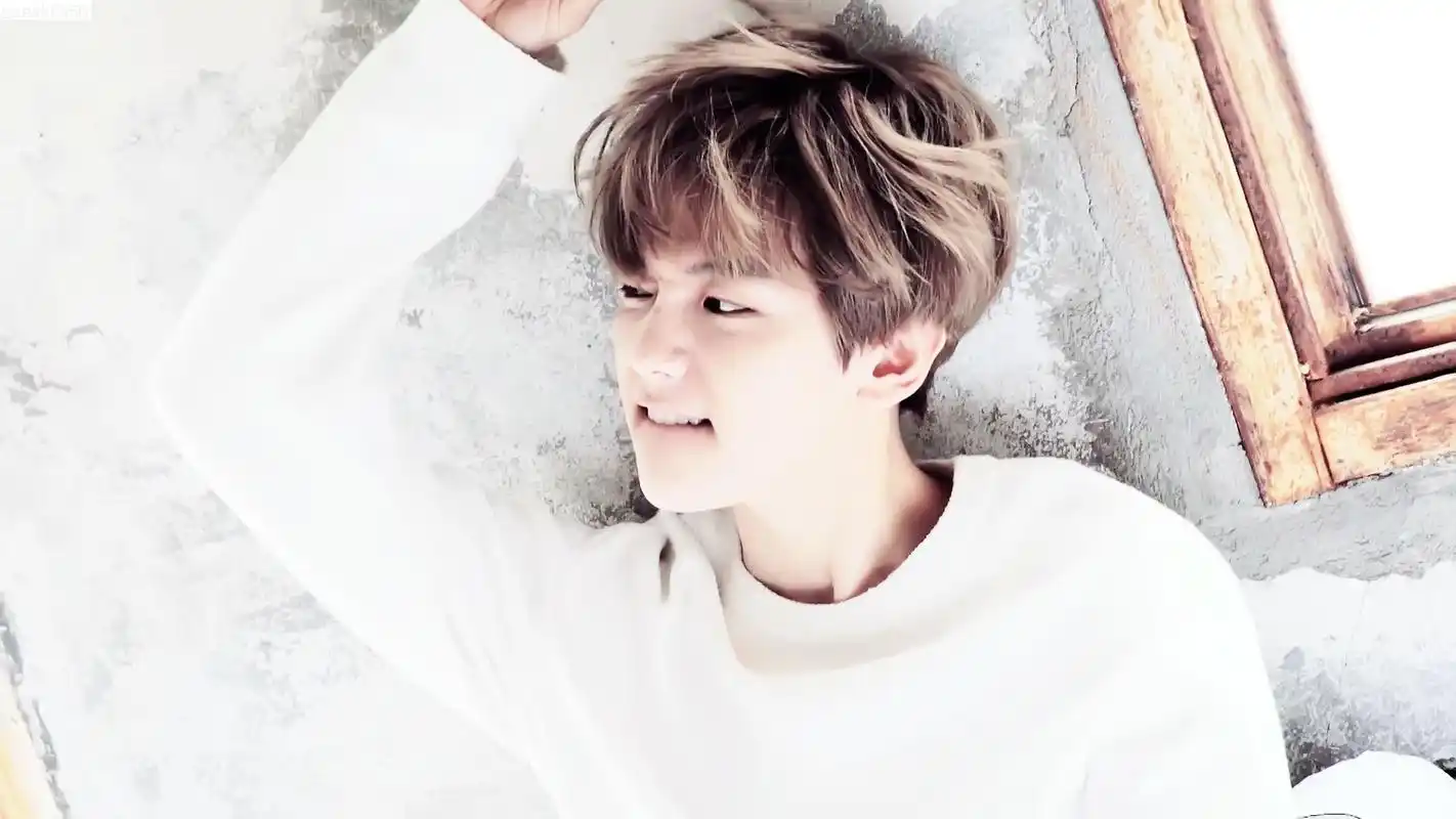 exo成员边伯贤可爱帅气电脑桌面壁纸下载2