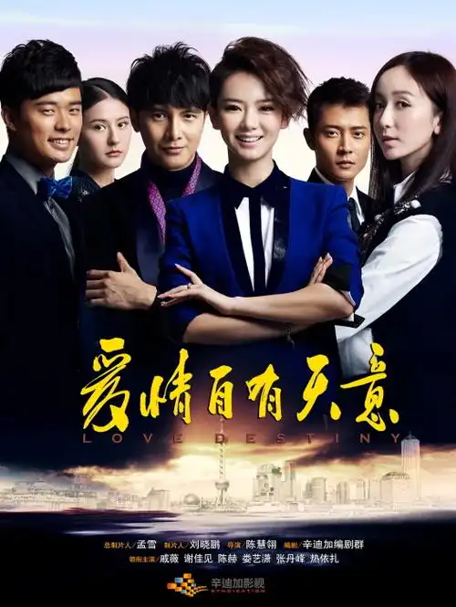 爱情自有天意 (电视剧)