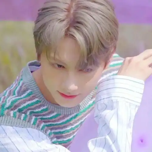 微信头像seventeen文俊辉