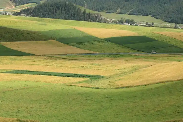 祁连山脉(卓尔山)高山草甸美景令人震撼