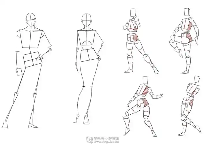 作业:如何学画板绘动漫人物之人体临摹画法与训练技巧 - 金木小捷