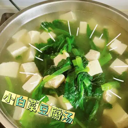 带饭日常小白菜豆腐汤