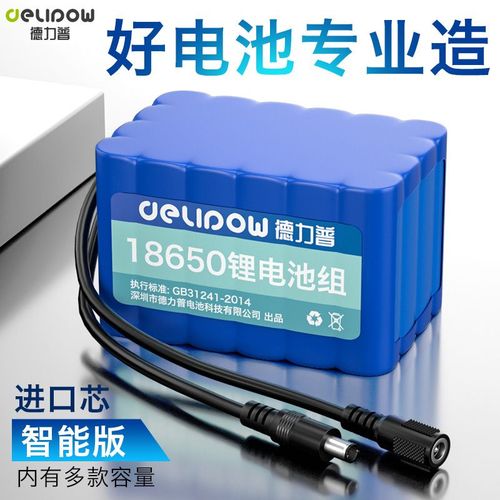 德力普12v锂电池组大容量户外移动电源拉杆音箱童车路灯18650可充