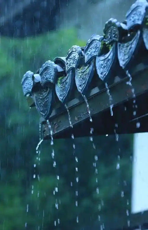 好摄之友:诗情画意都在江南雨季