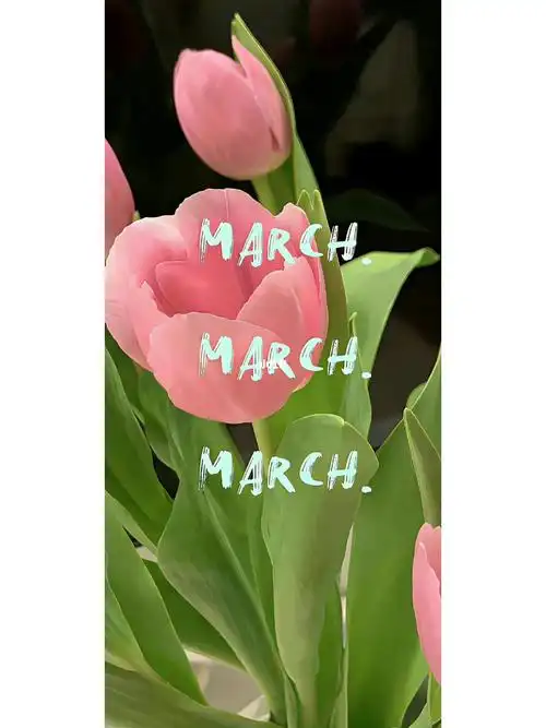 存了很久的绿色小清新手机壁纸